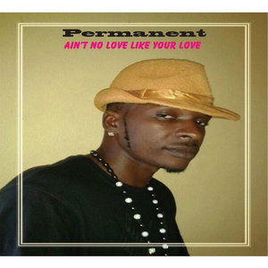 Cover for Permanent · Aint No Love Like Your Love (CD) (2014)