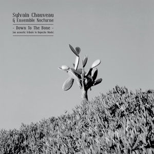 Sylvain -& Ensemble Nocturne- Chauveau · Down To The Bone (an Acoustic Tribute To Depeche M (LP) (2020)