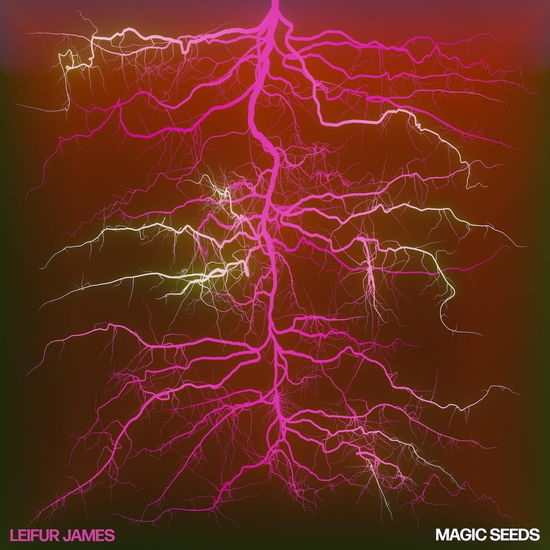 Leifur James · Magic Seeds (LP) (2024)