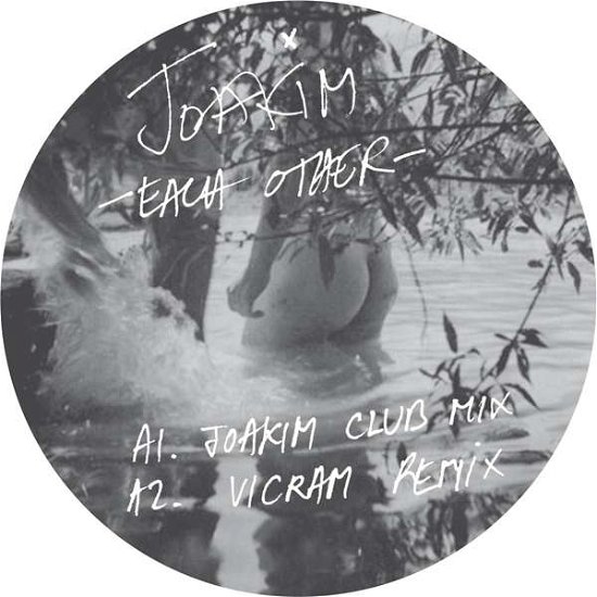 Cover for Joakim · Each Other (LP) (2014)