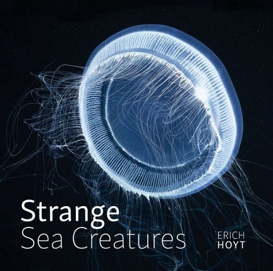 Cover for Erich Hoyt · Strange Sea Creatures (Innbunden bok) (2020)