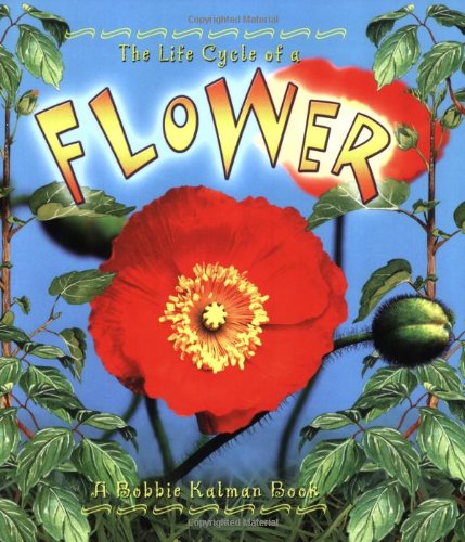 The Life Cycle of the Flower - Amanda Bishop - Książki - Crabtree Publishing Co,Canada - 9780778706977 - 31 października 2003