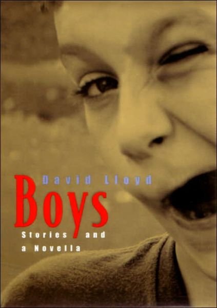 Cover for David Lloyd · Boys: Stories and a Novella (Hardcover Book) (2004)