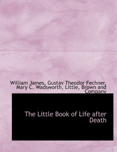 Cover for Gustav Theodor Fechner · The Little Book of Life After Death (Taschenbuch) (2010)