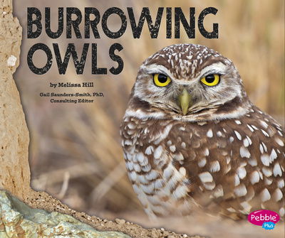 Cover for Melissa Hill · Burrowing Owls (Hardcover Book) (2015)