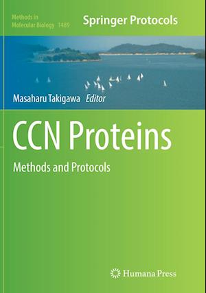 Cover for CCN Proteins: Methods and Protocols - Methods in Molecular Biology (Paperback Book) [Softcover reprint of the original 1st ed. 2017 edition] (2018)