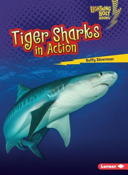 Cover for Buffy Silverman · Tiger Sharks in Action - Shark World Lightning Bolt (Paperback Book) (2017)