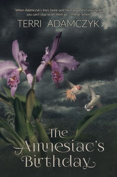 Cover for Terri Adamczyk · The Amnesiac's Birthday (Paperback Book) (2021)