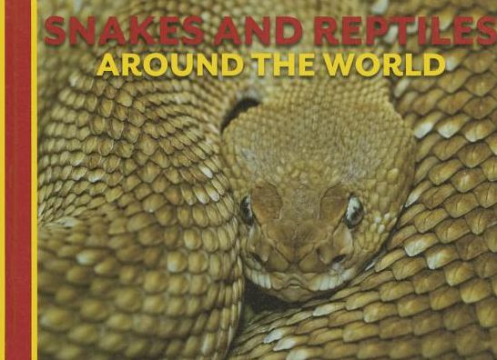 Cover for David Alderton · Snakes and Reptiles Around the World (Animals Around the World) (Hardcover Book) (2014)