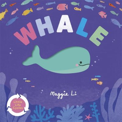 Cover for Maggie Li · Little Life Cycles: Whale - little life cycles (Board book) (2024)