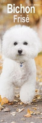 Bichon Frise Slim Calendar 2025 Dog Breed Slimline Calendar - 12 Month (Calendar) (2024)