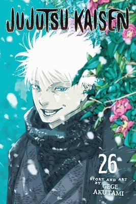 Cover for Gege Akutami · Jujutsu Kaisen, Vol. 26 - Jujutsu Kaisen (Taschenbuch) (2025)