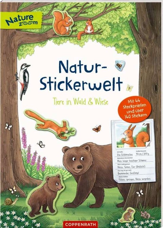 Tiere in Wald und Wi - Natur-Stickerwelt - Books -  - 9783649636977 - 