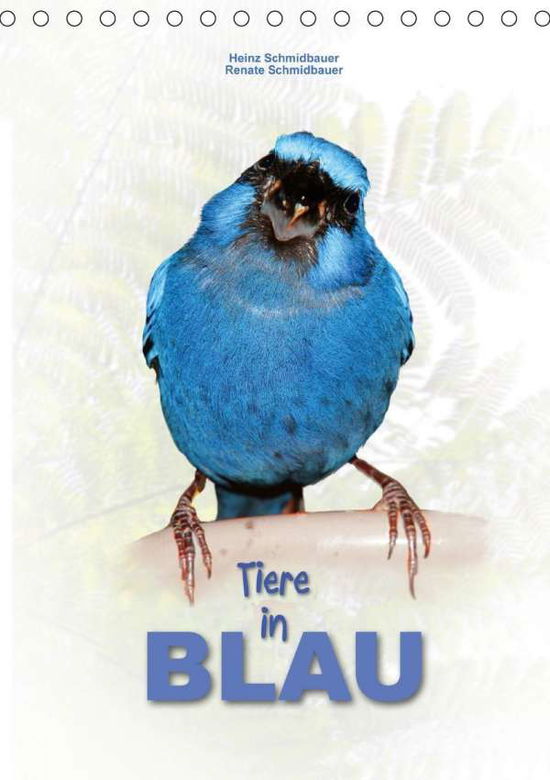 Tiere in Blau (Tischkalende - Schmidbauer - Boeken -  - 9783670706977 - 