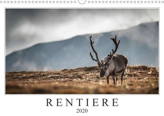 Cover for Worm · Rentiere (Wandkalender 2020 DIN A3 (Bok)