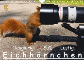 Cover for Ralph Reichert · Eichhörnchen (Wandkalender 2022 DIN A4 quer) (Calendar) (2021)