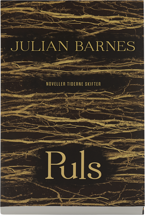 Cover for Julian Barnes · Puls (Sewn Spine Book) [1º edição] (2014)
