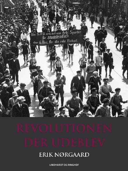 Cover for Erik Nørgaard · Revolutionen der udeblev (Sewn Spine Book) [2º edição] (2017)