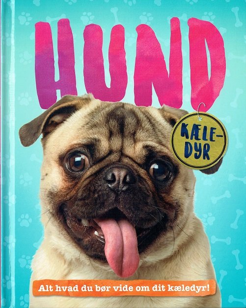 Cover for Pat Jacobs · Kæledyr: Kæledyr: Hund (Bound Book) [1e uitgave] (2017)