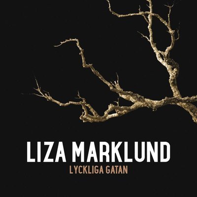 Cover for Liza Marklund · Annika Bengtzon: Lyckliga gatan (Lydbok (MP3)) (2013)