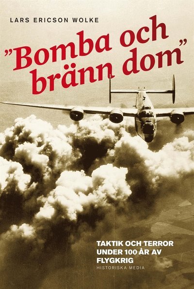 Cover for Lars Ericson Wolke · Bomba och bränn dom : taktik och terror under 100 år av flygkrig (ePUB) (2012)