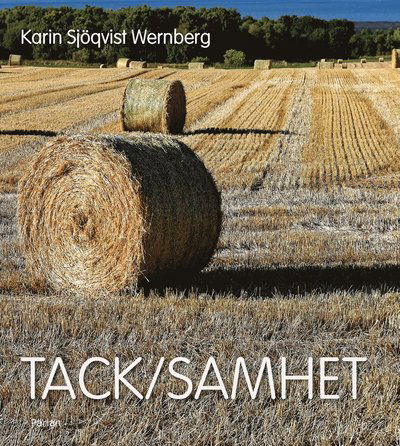 Cover for Karin Sjöqvist Wernberg · Tack / samhet (Bound Book) (2020)