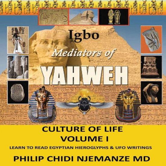 Cover for Philip Chidi Njemanze · Igbo Mediators of YAHWEH Culture of Life (Paperback Book) (2015)