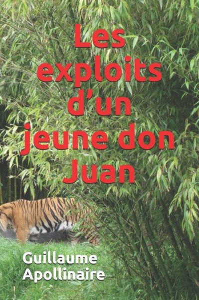 Cover for Guillaume Apollinaire · Les exploits d'un jeune don Juan (Paperback Book) (2020)