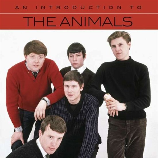 Cover for Animals · Introduction To The Animals (CD) (2017)