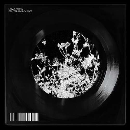 Cover for Loma Prieta · Continuum B/w Fate (LP) (2020)