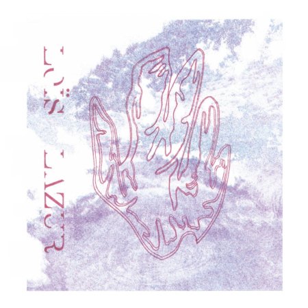 Cover for Lois Lazur · Half of a Hand (LP) (2024)