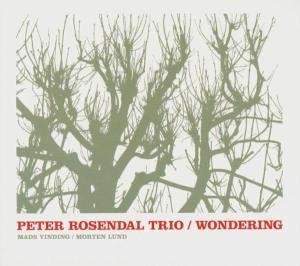 Cover for Peter Rosendal · Wondering (CD) [Digipak] (2012)