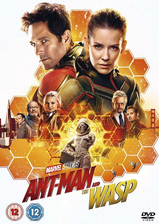 Ant-Man And The Wasp - Ant-man and the Wasp - Elokuva - Walt Disney - 8717418536978 - maanantai 3. joulukuuta 2018