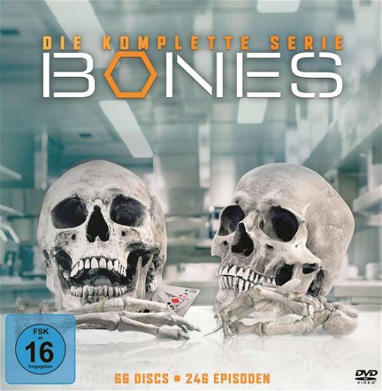 Cover for Bones · Bones - Komplettbox Season 1-12 (DVD) (2021)