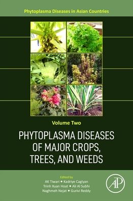 Cover for Phytoplasma Diseases of Major Crops, Trees, and Weeds - Phytoplasma Diseases in Asian Countries (Paperback Book) (2023)