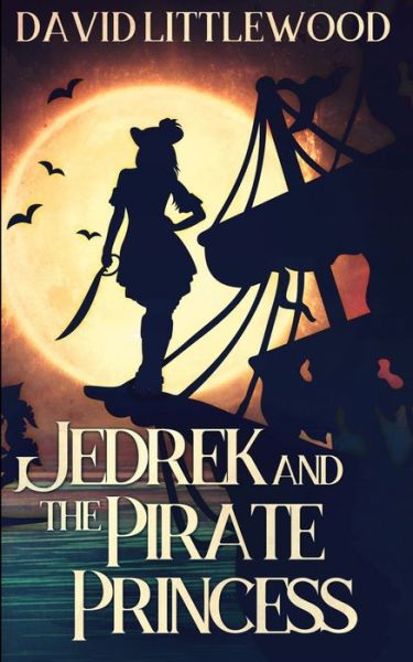 Cover for David Littlewood · Jedrek And The Pirate Princess (Paperback Book) (2021)