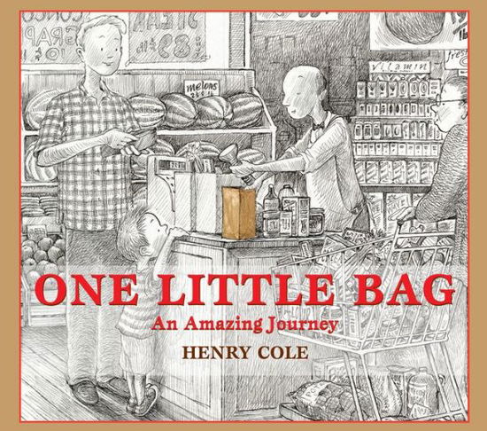 Cover for Henry Cole · One Little Bag: An Amazing Journey (Gebundenes Buch) (2020)