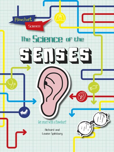 Cover for Louise Spilsbury · The Senses - Flowchart Science: The Human Body (Paperback Bog) (2019)