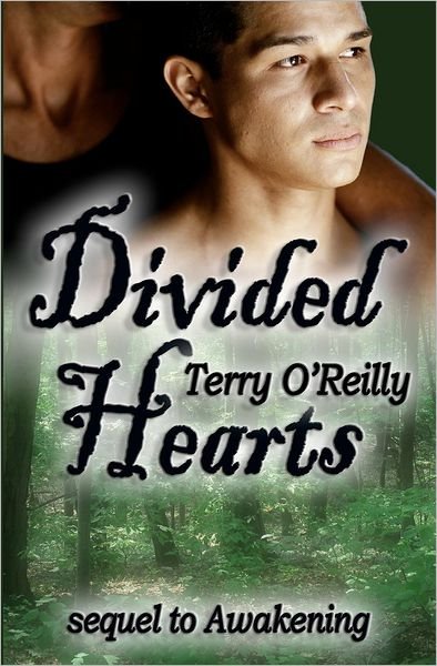 Cover for Terry O'reilly · Divided Hearts (Taschenbuch) (2012)