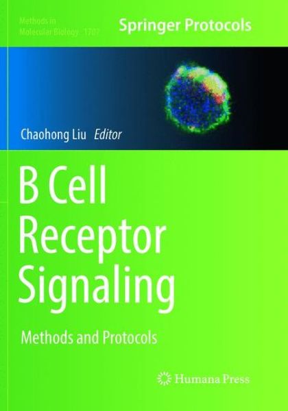 Cover for B Cell Receptor Signaling: Methods and Protocols - Methods in Molecular Biology (Paperback Book) [Softcover reprint of the original 1st ed. 2018 edition] (2019)