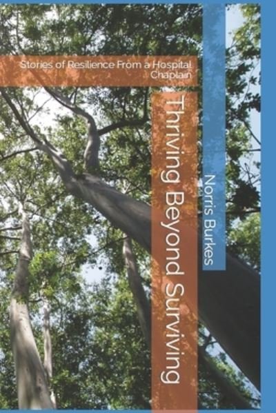 Cover for Norris Burkes · Thriving Beyond Surviving (Paperback Bog) (2016)