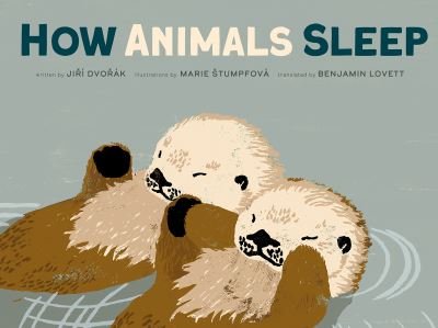 How Animals Sleep - Jiri Dvorak - Książki - Red Comet Press LLC - 9781636550978 - 16 kwietnia 2024