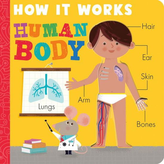 Cover for Amelia Hepworth · How it Works: Human Body - How It Works (Board book) (2021)