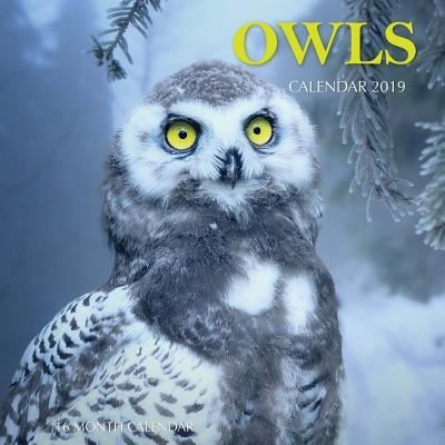 Cover for Mason Landon · Owls Calendar 2019 (Paperback Book) (2018)