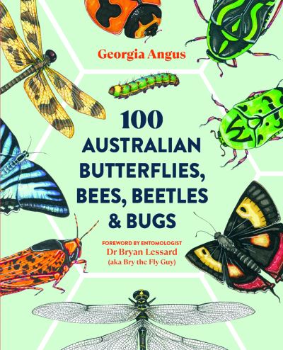 Cover for Georgia Angus · 100 Australian Butterflies, Bees, Beetles &amp; Bugs (Paperback Book) (2023)