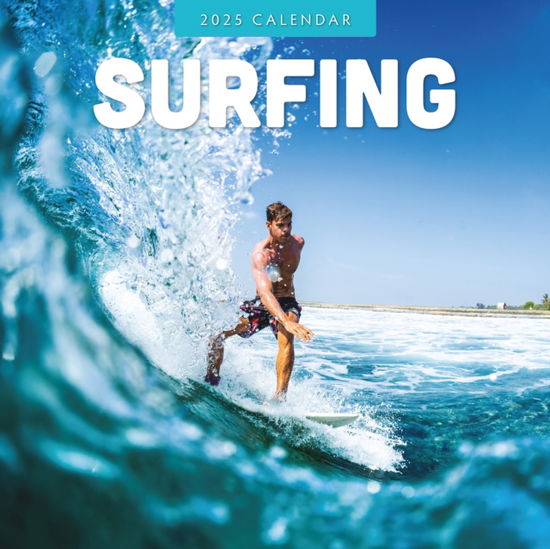 Red Robin · Surfing 2025 Square Wall Calendar (Taschenbuch) (2024)