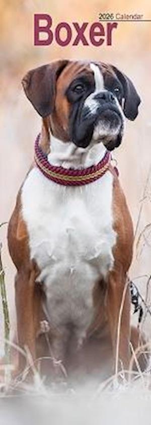 Cover for Boxer Slim Calendar 2026  Dog Breed Slimline Calendar - 12 Month (Calendar) (2025)