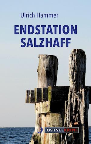 Cover for Ulrich Hammer · Endstation Salzhaff (Paperback Book) (2022)