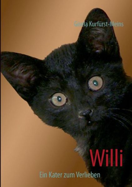 Cover for Gisela Kurfurst-meins · Willi (Paperback Book) [German edition] (2013)