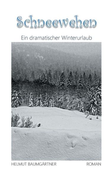 Cover for Helmut Baumgartner · Schneewehen: Ein dramatischer Winterurlaub (Paperback Book) (2018)